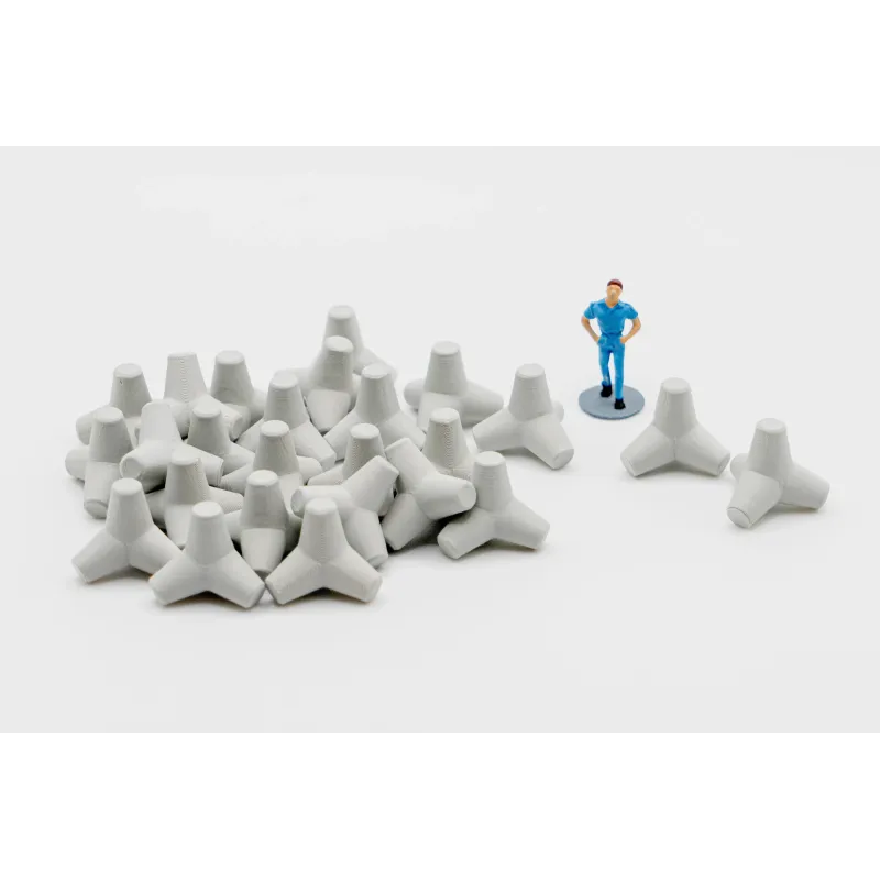 Tetrapods - HO