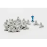 Tetrapods - HO